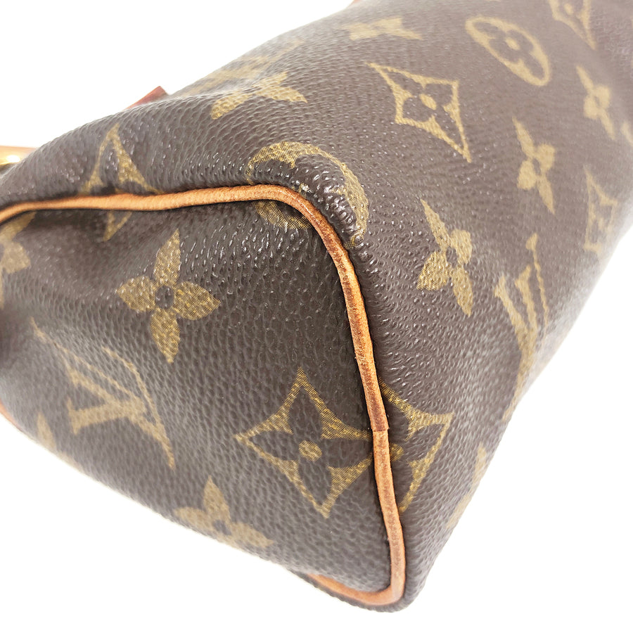 LOUIS VUITTON 2WAY Shoulder Handbag