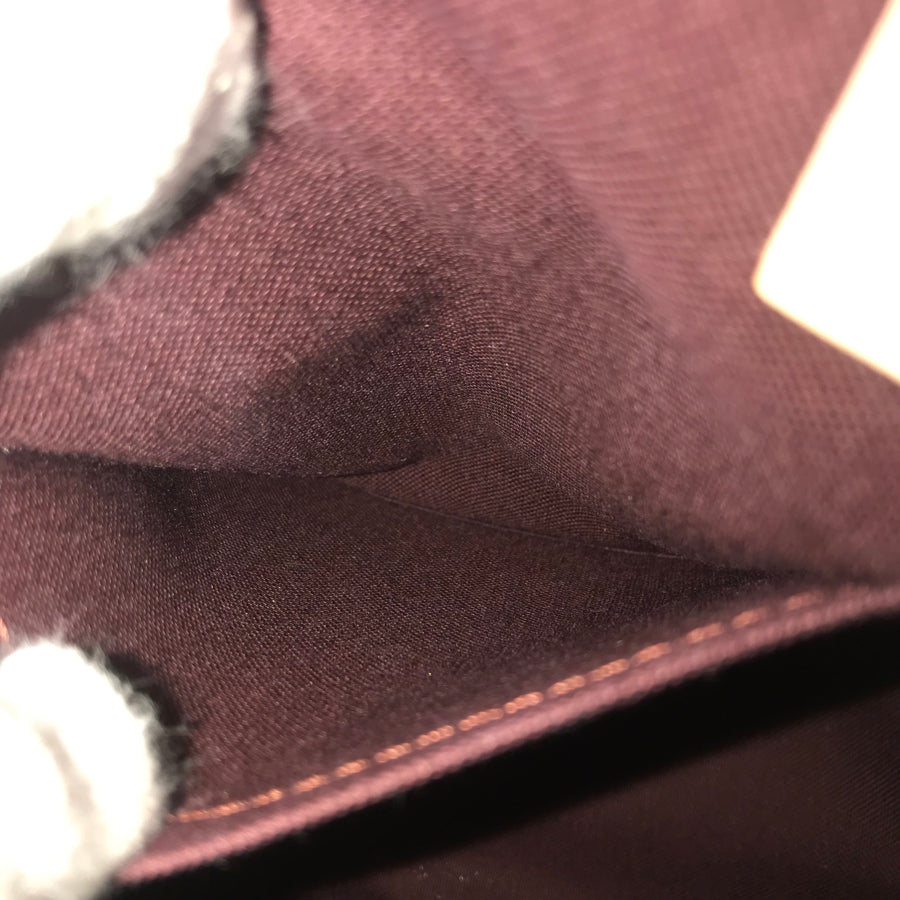 LOUIS VUITTON 2WAY Shoulder Handbag