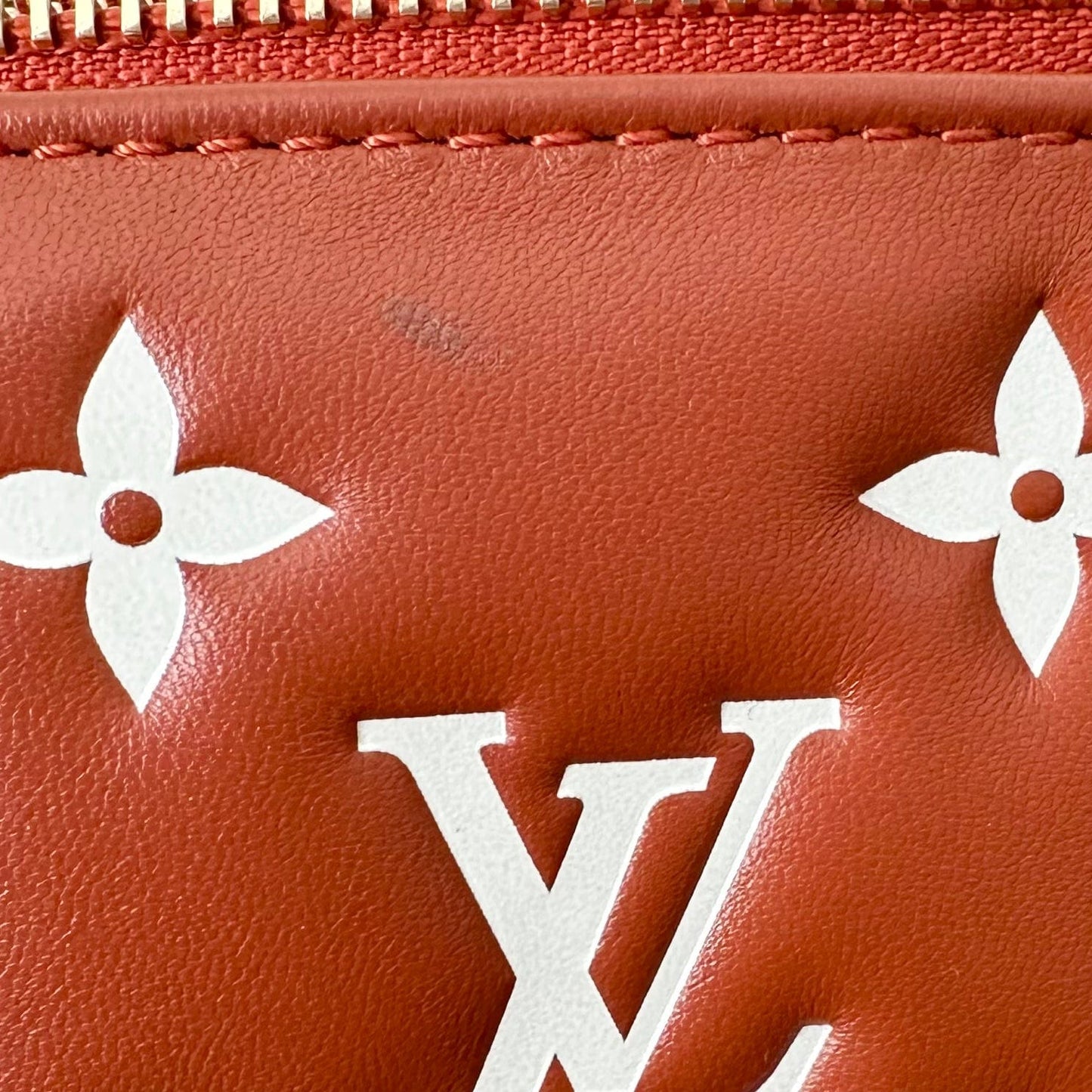 Louis Vuitton Coussin PM