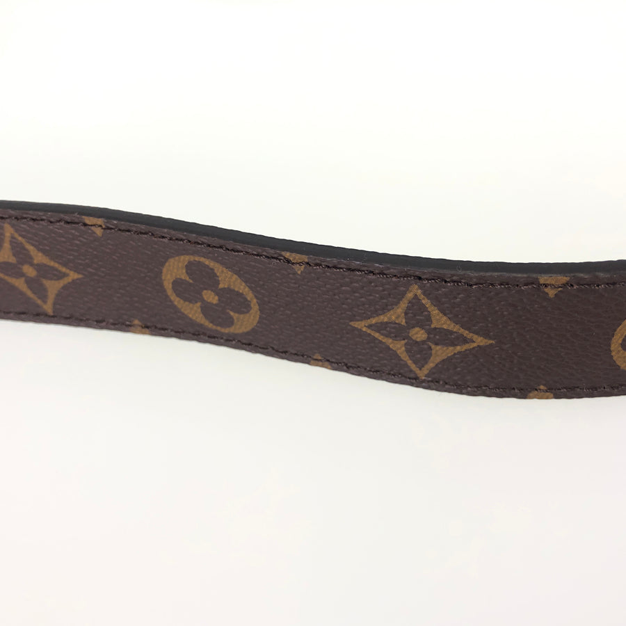 LOUIS VUITTON 2WAY Shoulder Handbag